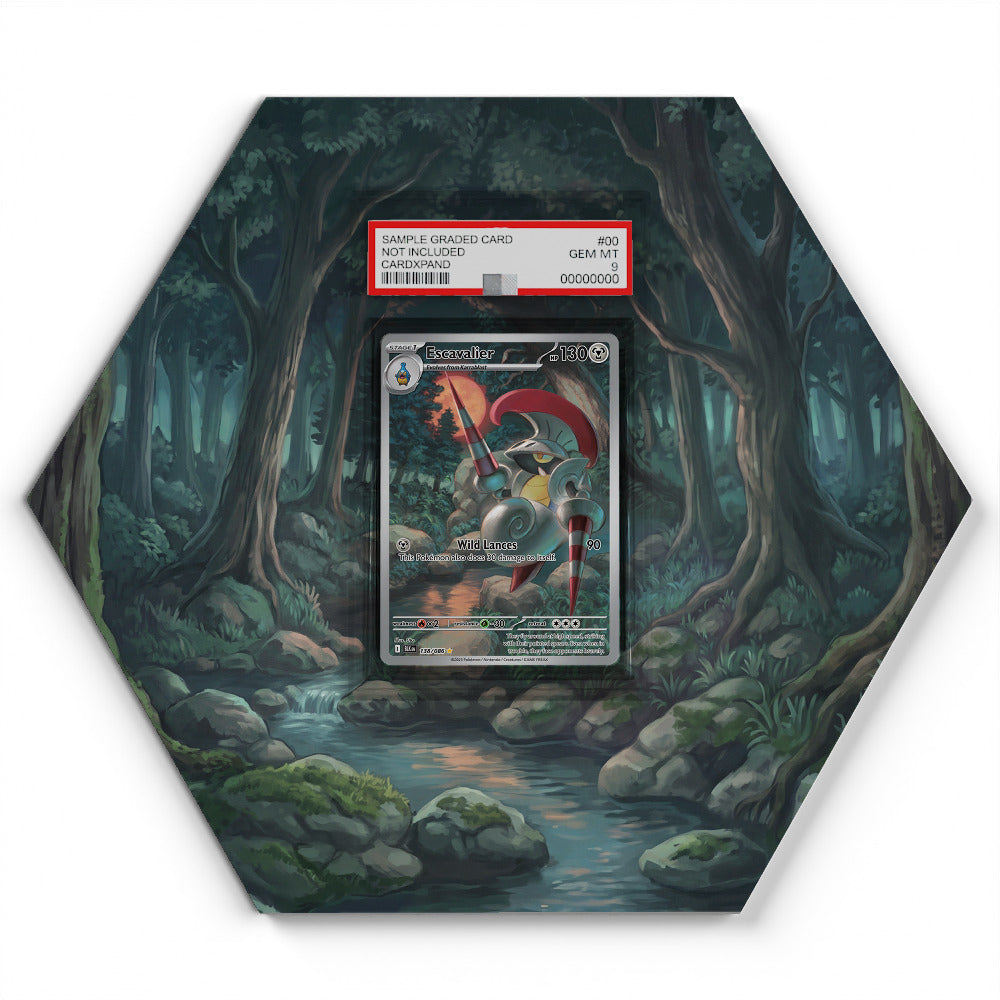 105 Branawarz - Extended Artwork Pokemon Card Display