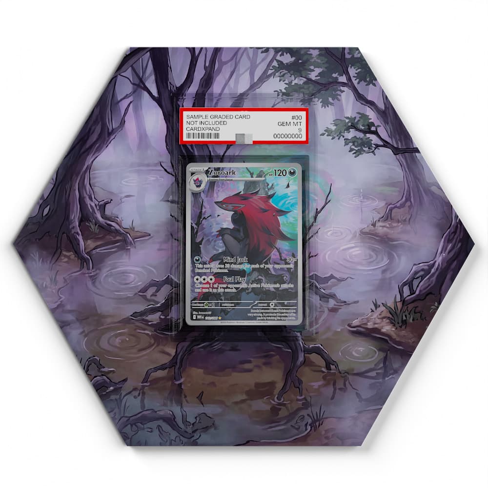 143/086 Zoroark - Extended Artwork Pokemon Card Display