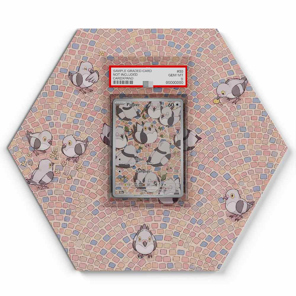 148/086 Pidove - Extended Artwork Pokemon Card Display