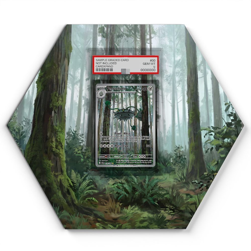 105 Branawarz - Extended Artwork Pokemon Card Display