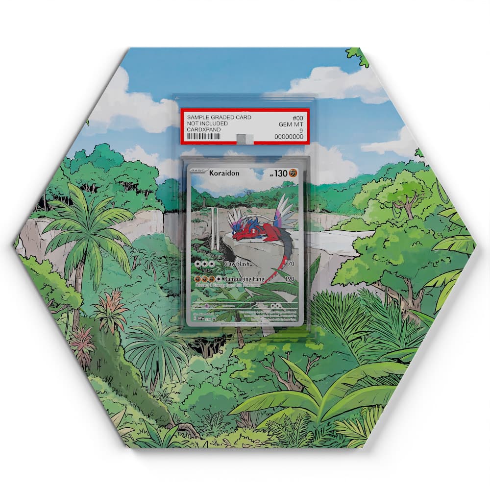 14 Koraidon - Extended Artwork Pokemon Card Display