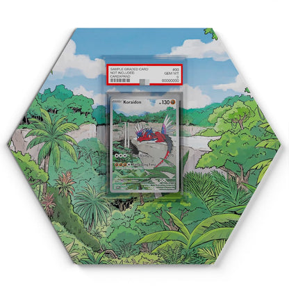 14 Koraidon - Extended Artwork Pokemon Card Display