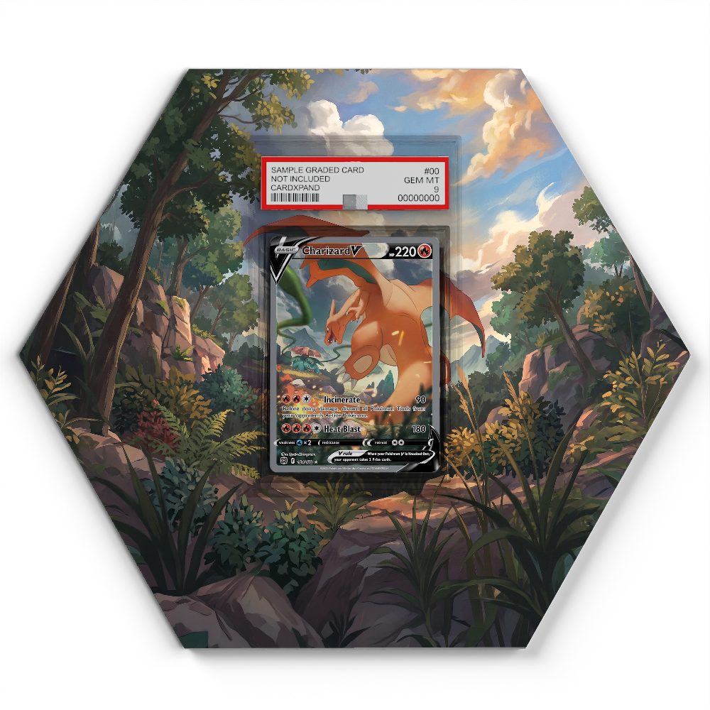 105 Branawarz - Extended Artwork Pokemon Card Display