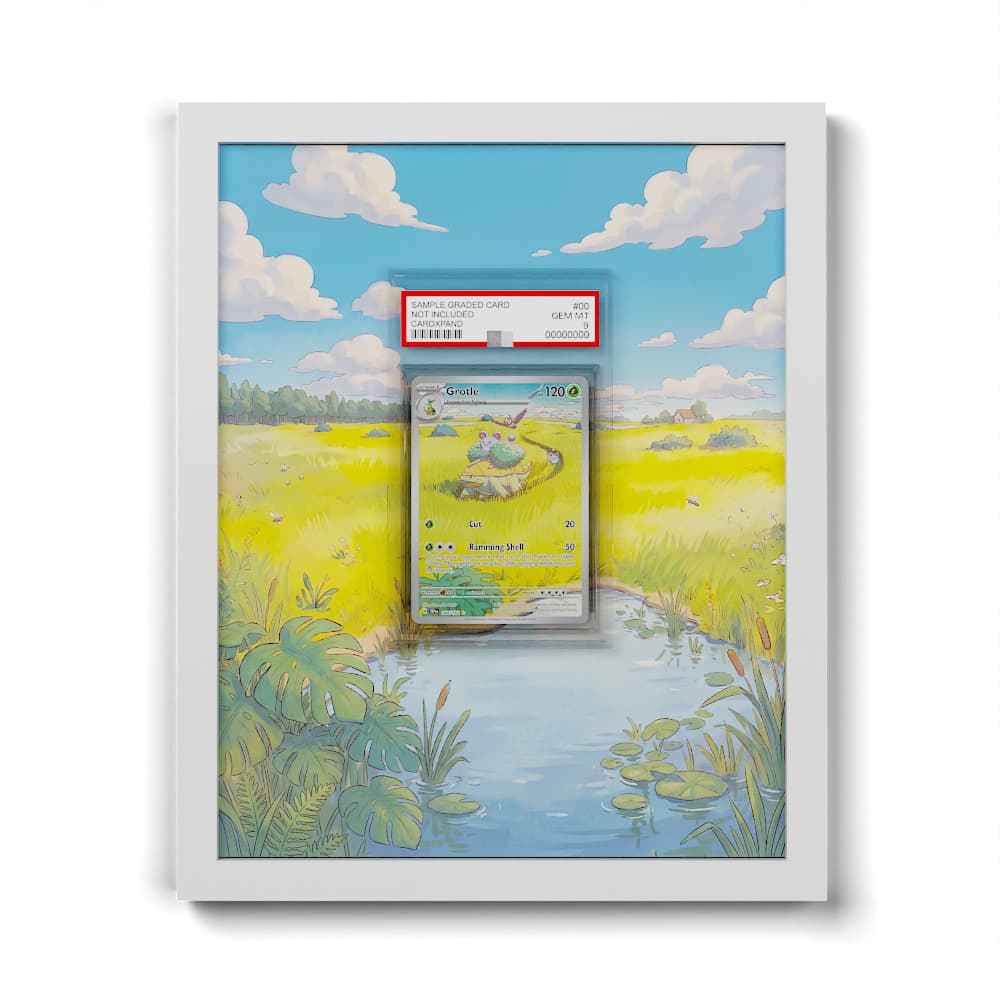 164 Chelcarain - Extended Artwork Framed Pokemon Card Display