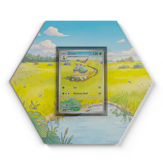 164/162 Chelcarain - Extended Artwork Pokemon Card Display