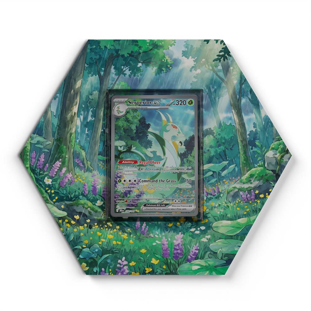105 Branawarz - Extended Artwork Pokemon Card Display