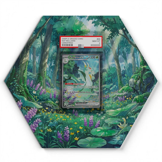 105 Branawarz - Extended Artwork Pokemon Card Display