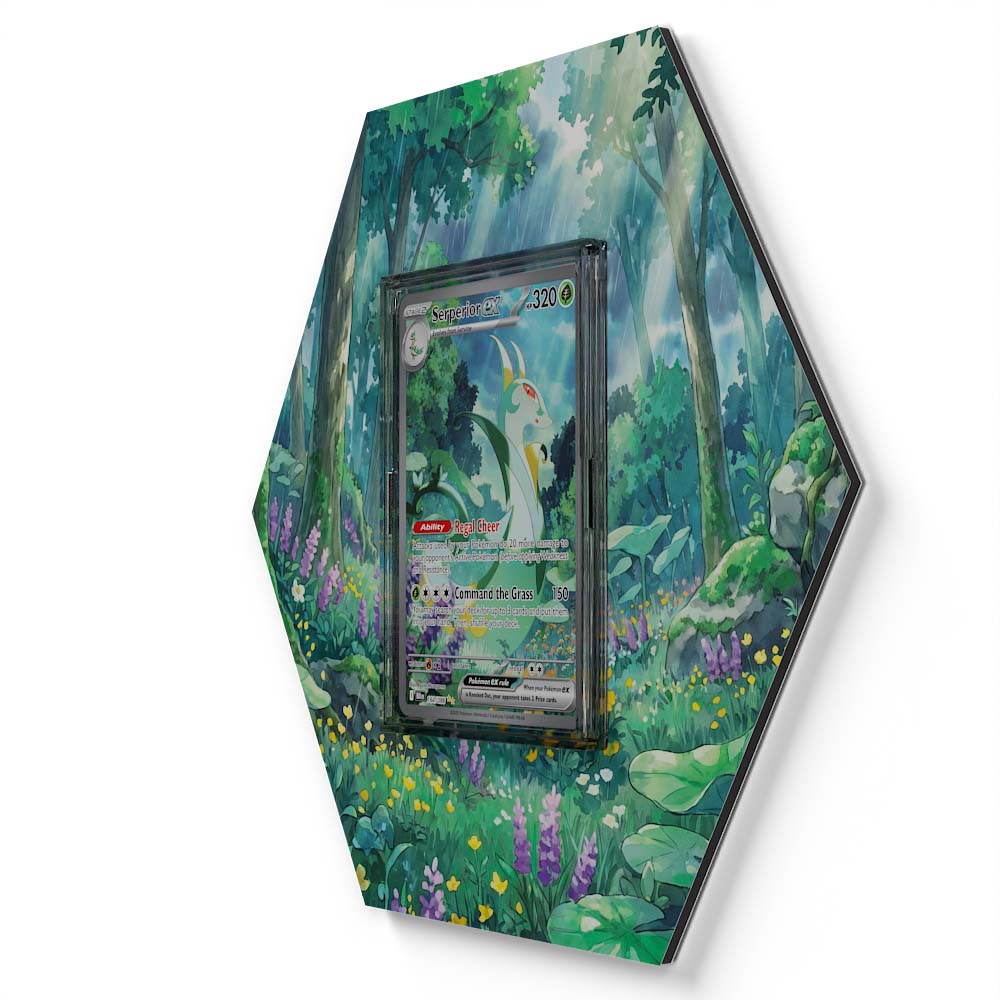 105 Branawarz - Extended Artwork Pokemon Card Display