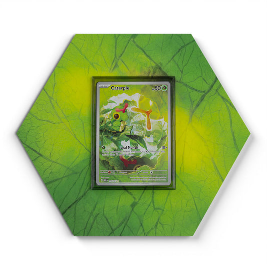 172/165 Raupy - Extended Artwork Pokemon Card Display