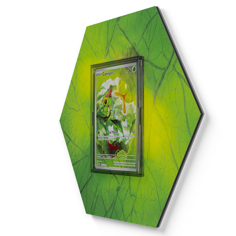 172/165 Raupy - Extended Artwork Pokemon Card Display