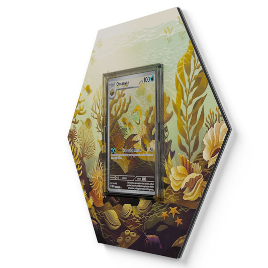 180/165 Amonitas - Extended Artwork Pokemon Card Display