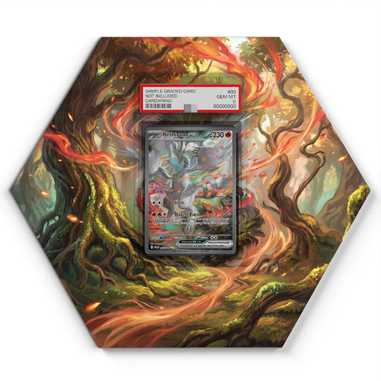 105 Branawarz - Extended Artwork Pokemon Card Display