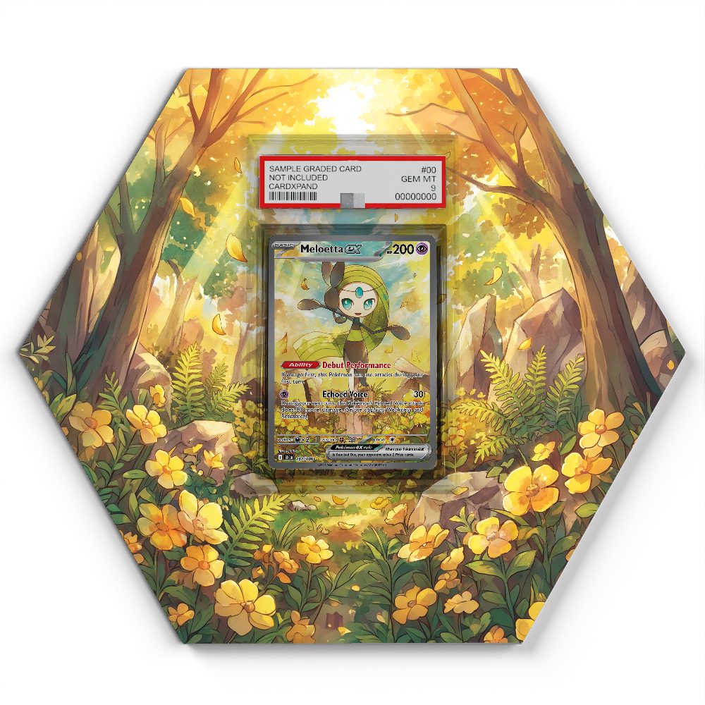 105 Branawarz - Extended Artwork Pokemon Card Display