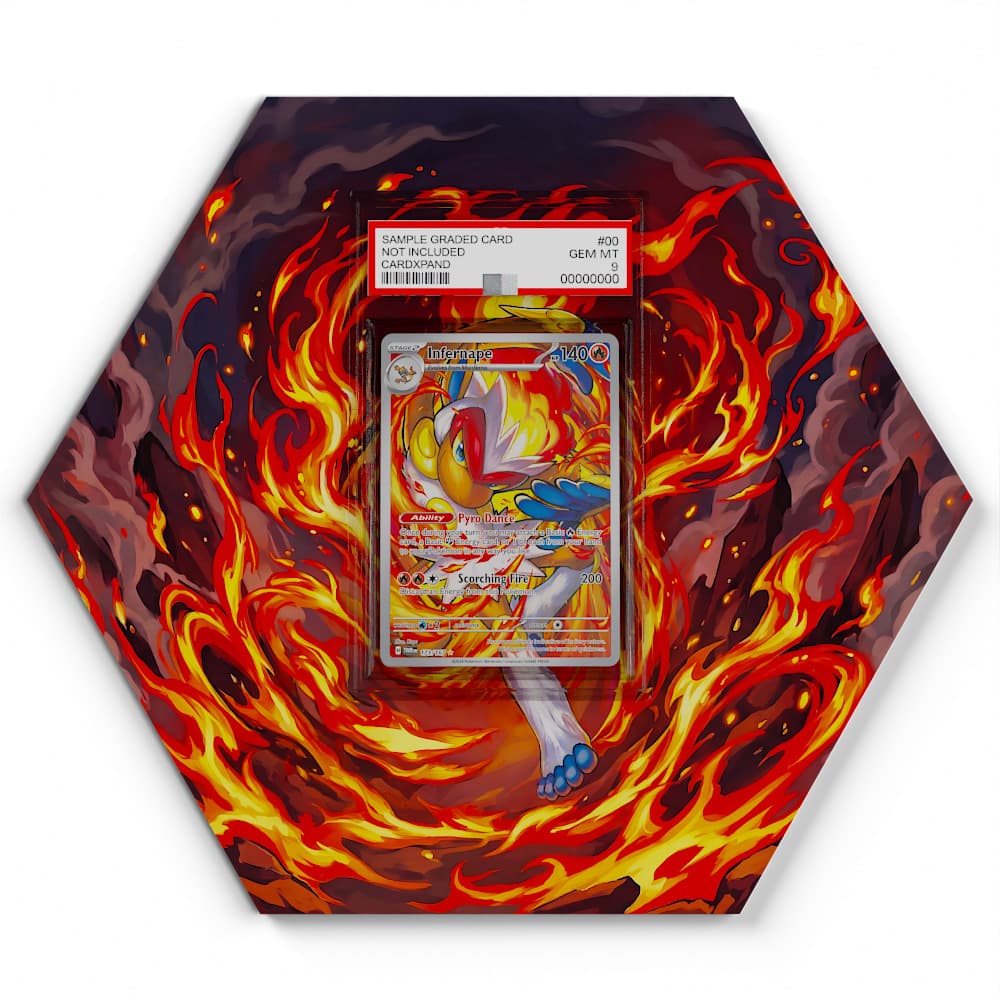 173/167 Panferno - Extended Artwork Pokemon Card Display