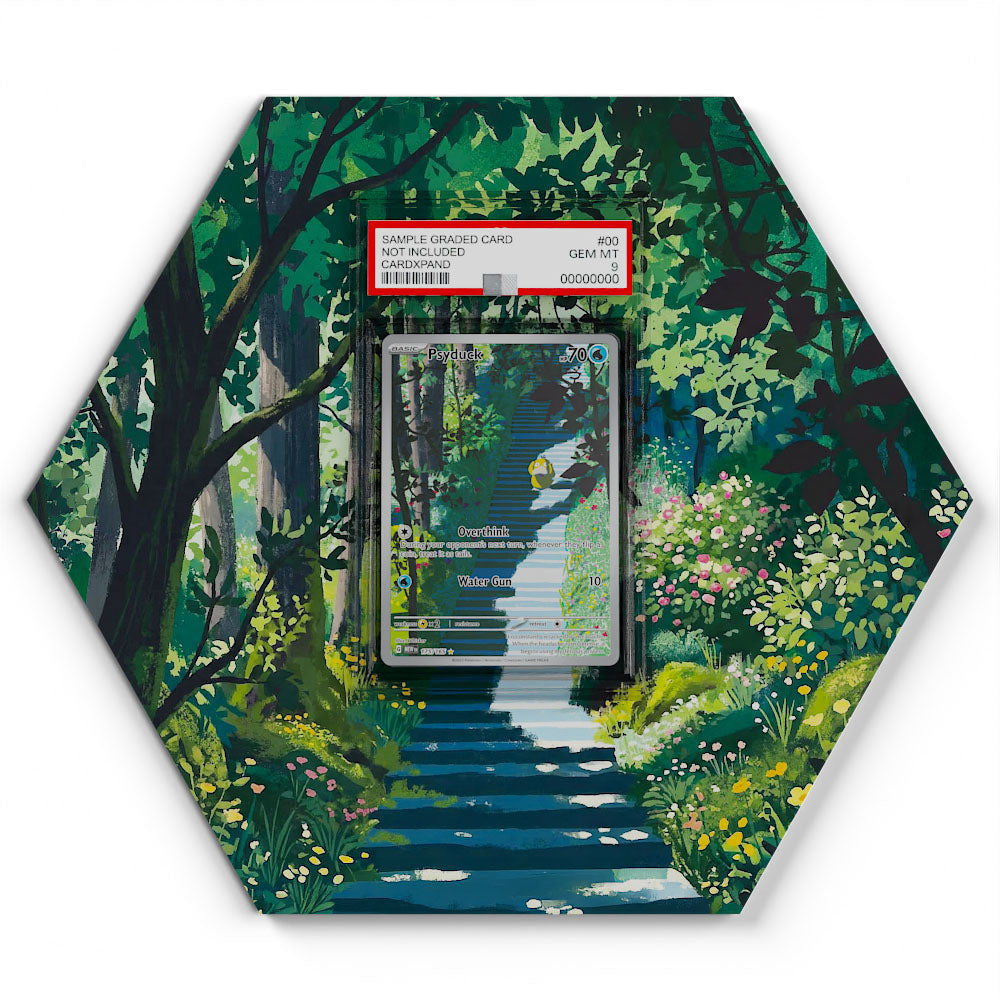 175/165 Enton - Extended Artwork Pokemon Card Display