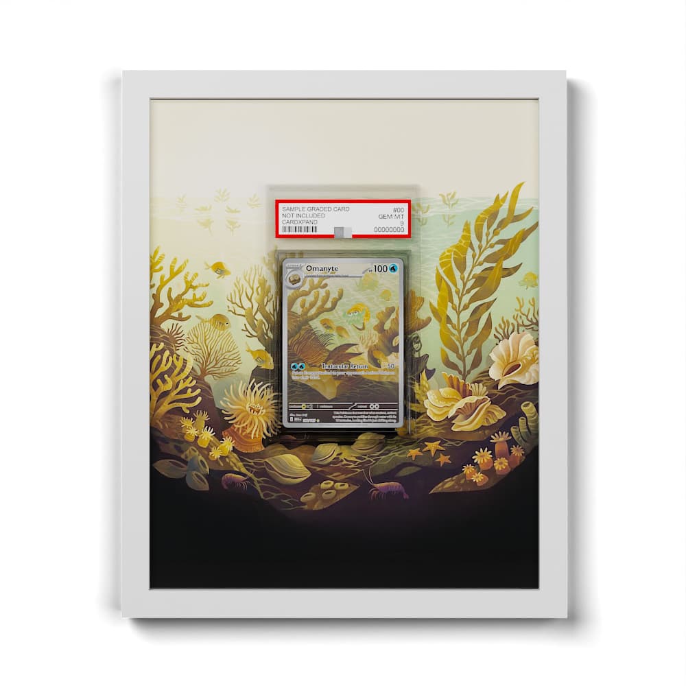 180 Amonitas - Extended Artwork Framed Pokemon Card Display