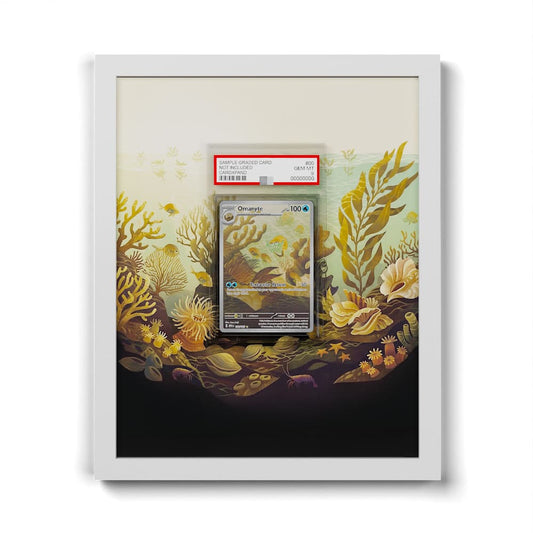 180 Amonitas - Extended Artwork Framed Pokemon Card Display