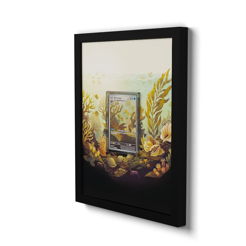 180 Amonitas - Extended Artwork Framed Pokemon Card Display