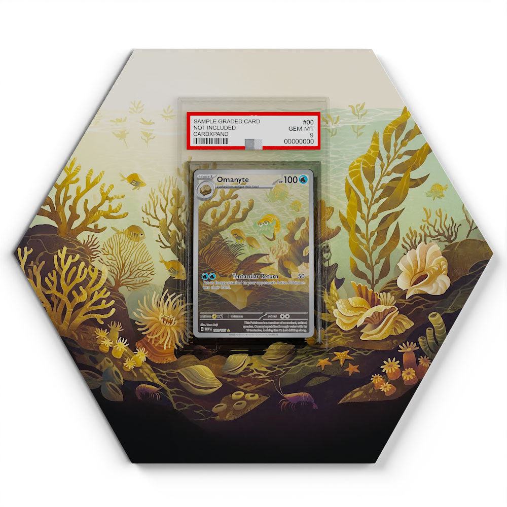 180/165 Amonitas - Extended Artwork Pokemon Card Display