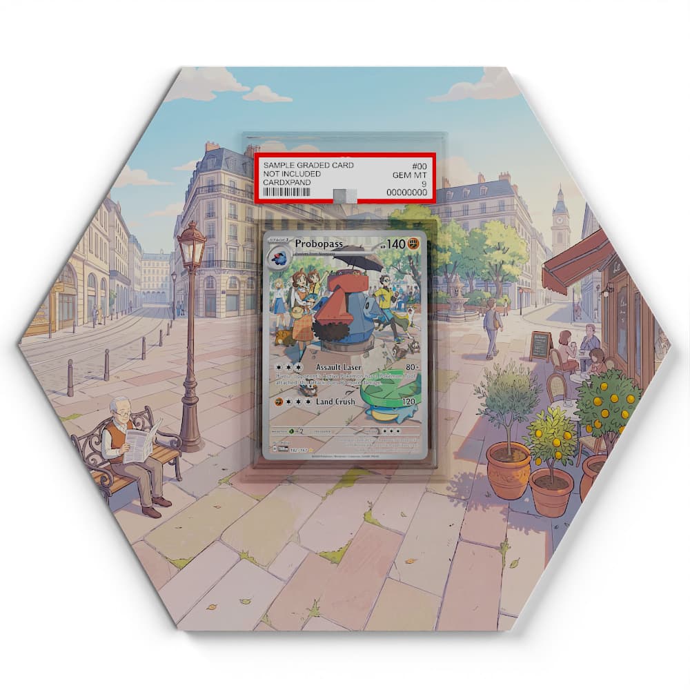 182/167 Probopass - Extended Artwork Pokemon Card Display