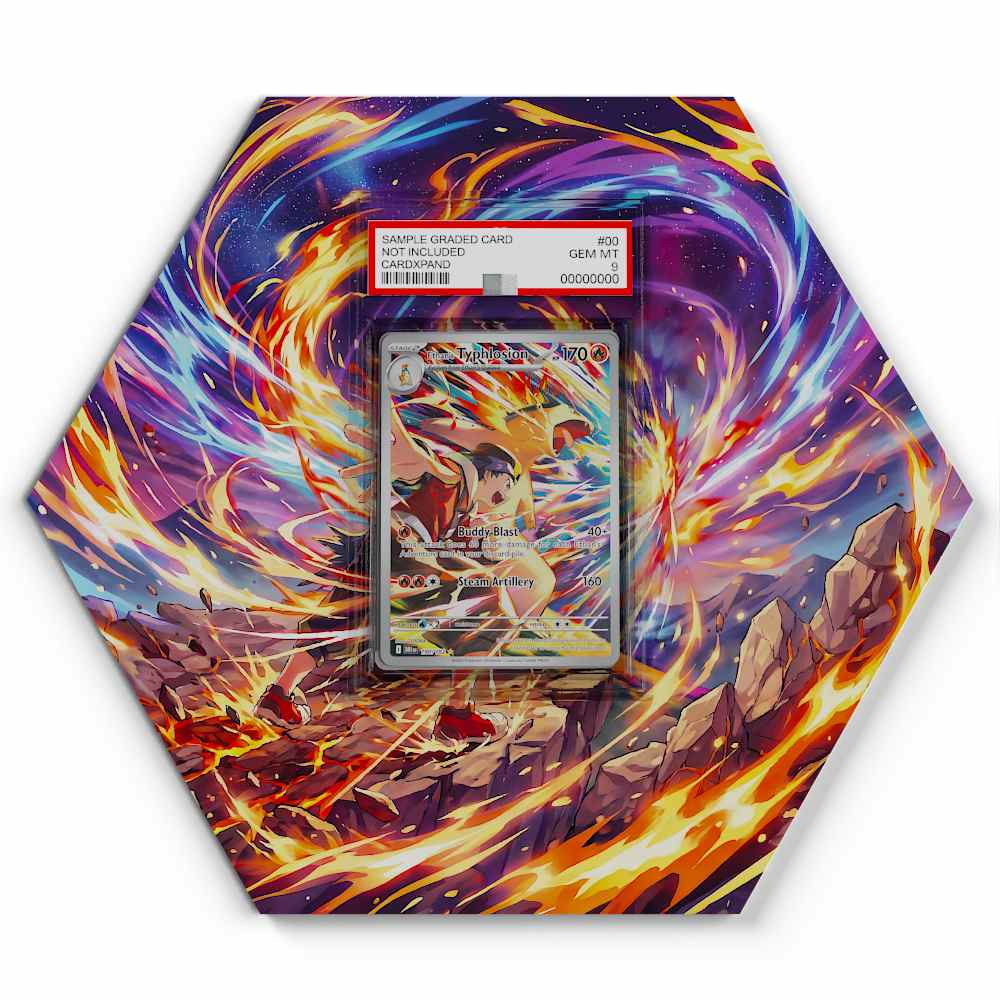 190-182-ethans-typhlosion large graded display