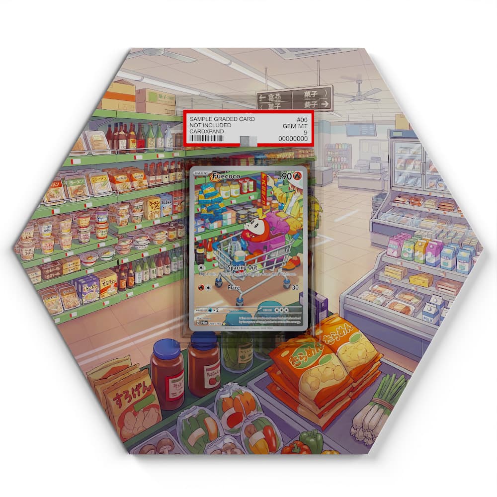 201/193 Krokel - Extended Artwork Pokemon Card Display