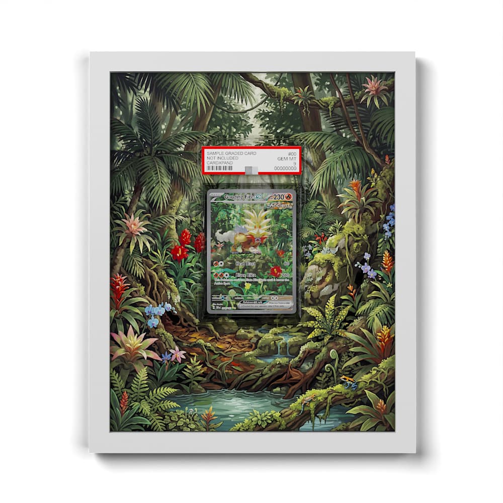 204 Furienblitz EX - Extended Artwork Framed Pokemon Card Display