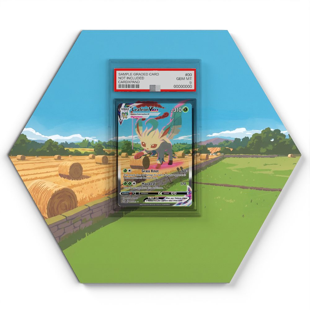 105 Branawarz - Extended Artwork Pokemon Card Display
