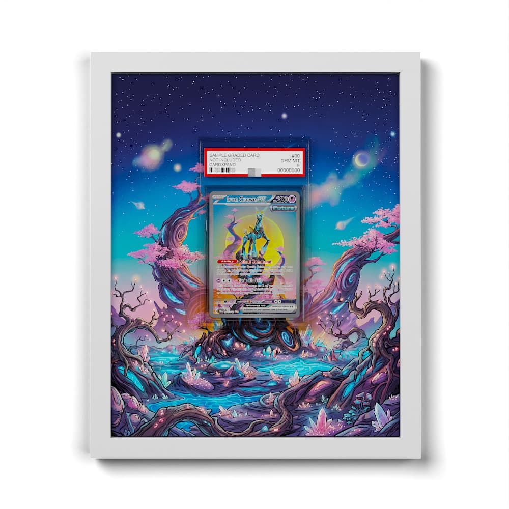 206 Eisenhaupt EX - Extended Artwork Framed Pokemon Card Display
