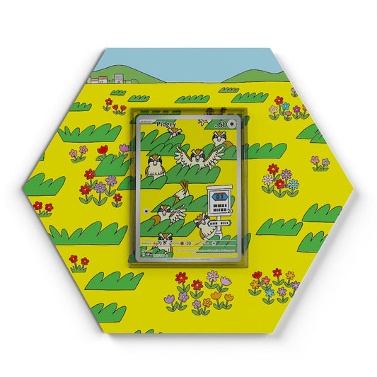 207/197 Taubsi - Extended Artwork Pokemon Card Display