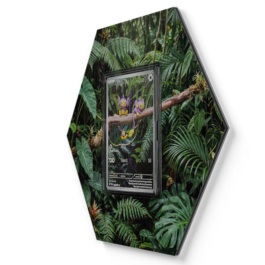 211/182 Griffel - Extended Artwork Pokemon Card Display