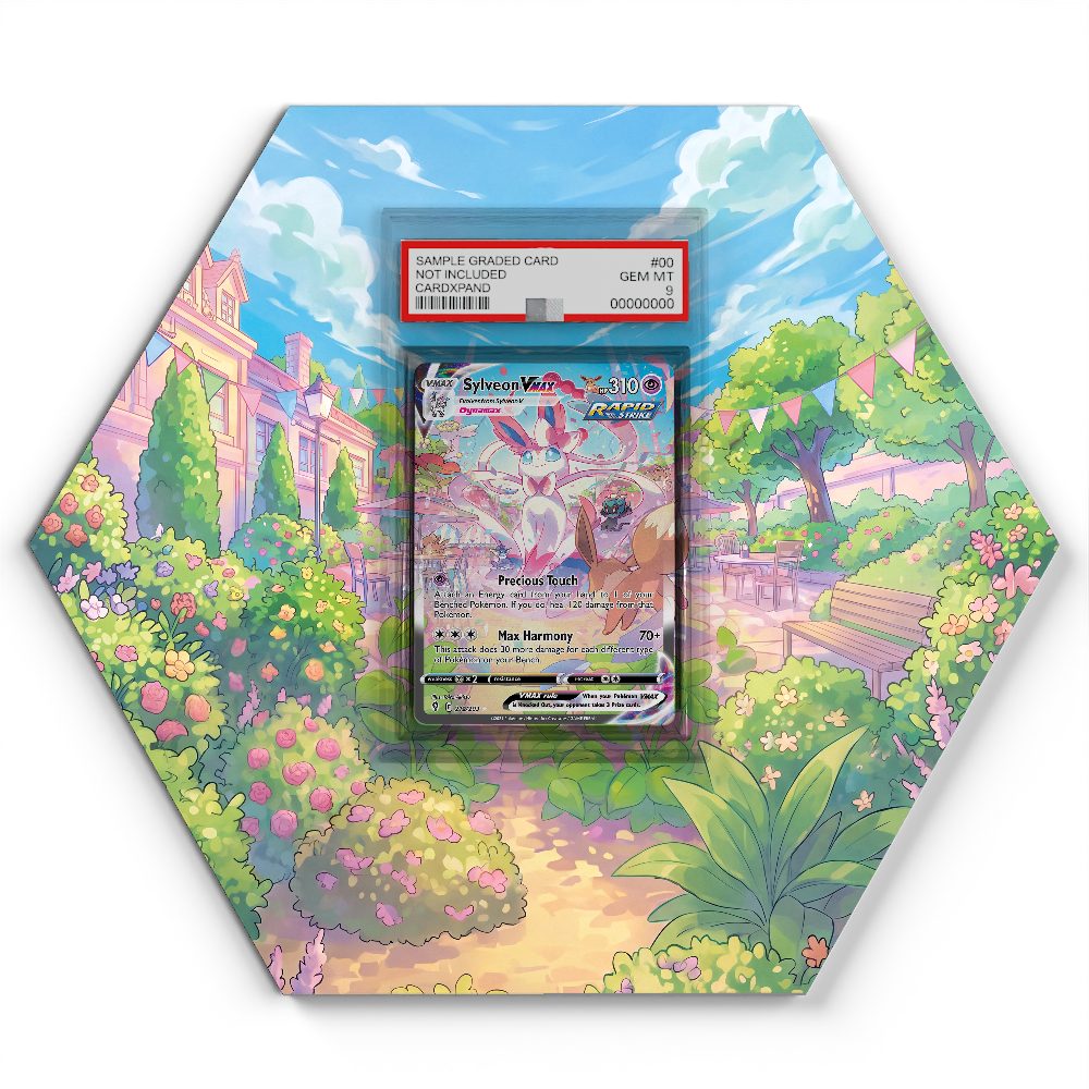 105 Branawarz - Extended Artwork Pokemon Card Display