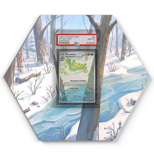 212 Zytomega - Extended Artwork Pokemon Card Display
