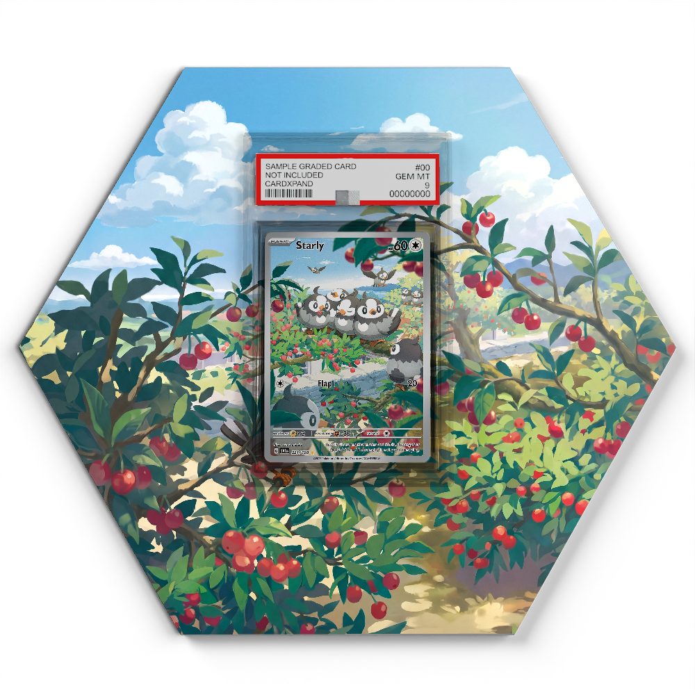 105 Branawarz - Extended Artwork Pokemon Card Display