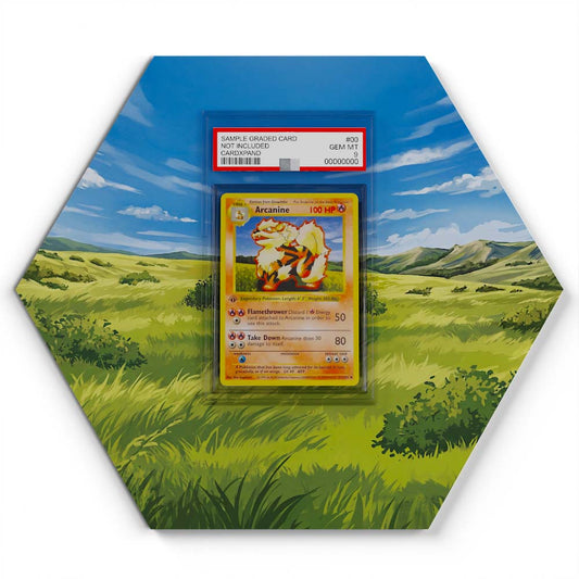 23/102 Arcanine - Extended Artwork Pokemon Card Display