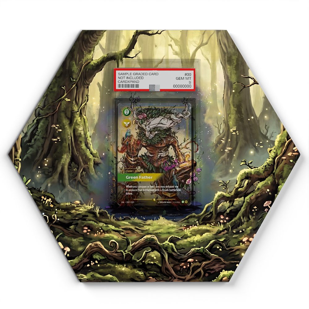 105 Branawarz - Extended Artwork Pokemon Card Display