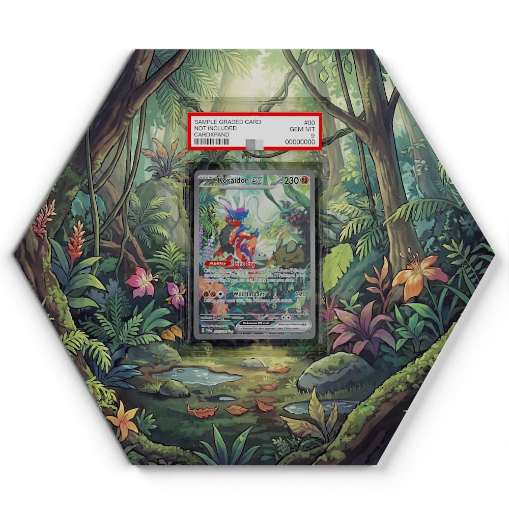 247/198 Koraidon EX - Extended Artwork Pokemon Card Display
