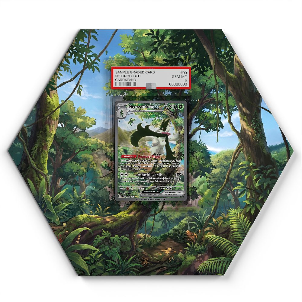 105 Branawarz - Extended Artwork Pokemon Card Display