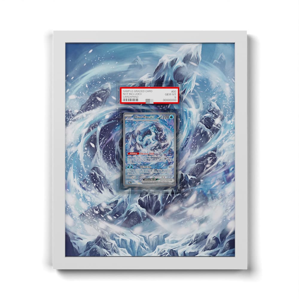 261 Baojian EX - Extended Artwork Framed Pokemon Card Display