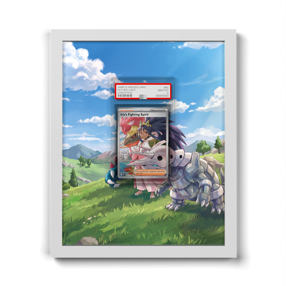 292/217 Iris's Fighting Spirit - Extended Artwork Pokemon Card Frame