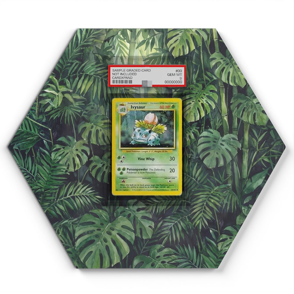 105 Branawarz - Extended Artwork Pokemon Card Display