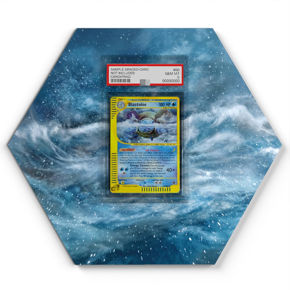 105 Branawarz - Extended Artwork Pokemon Card Display