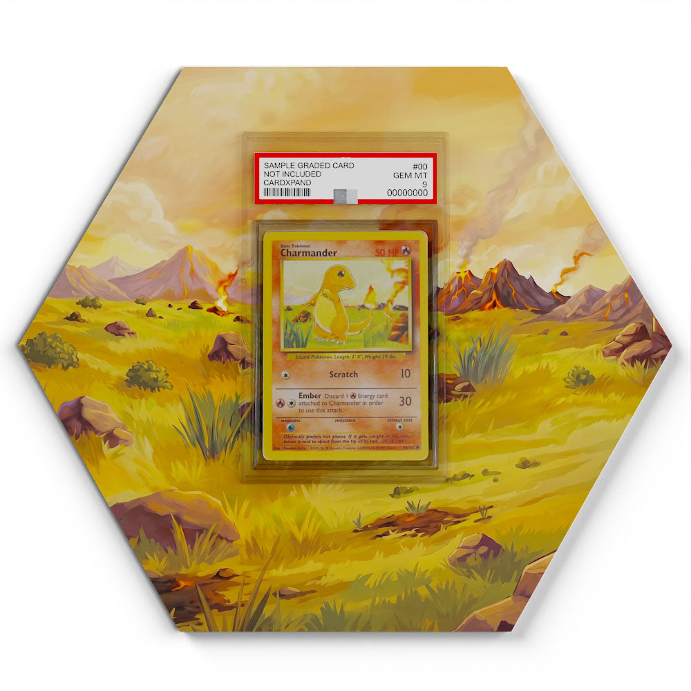 46/102 Glumanda - Extended Artwork Pokemon Card Display