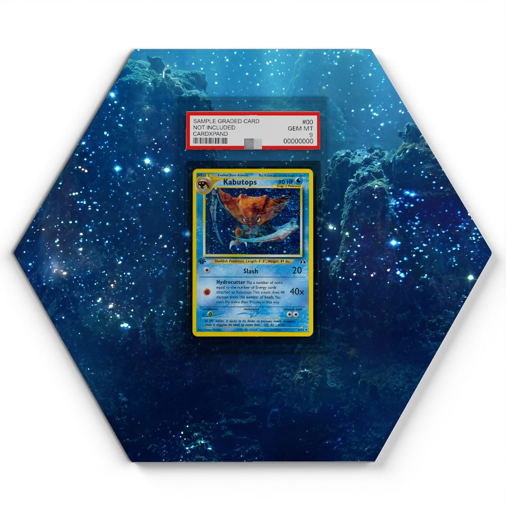 105 Branawarz - Extended Artwork Pokemon Card Display