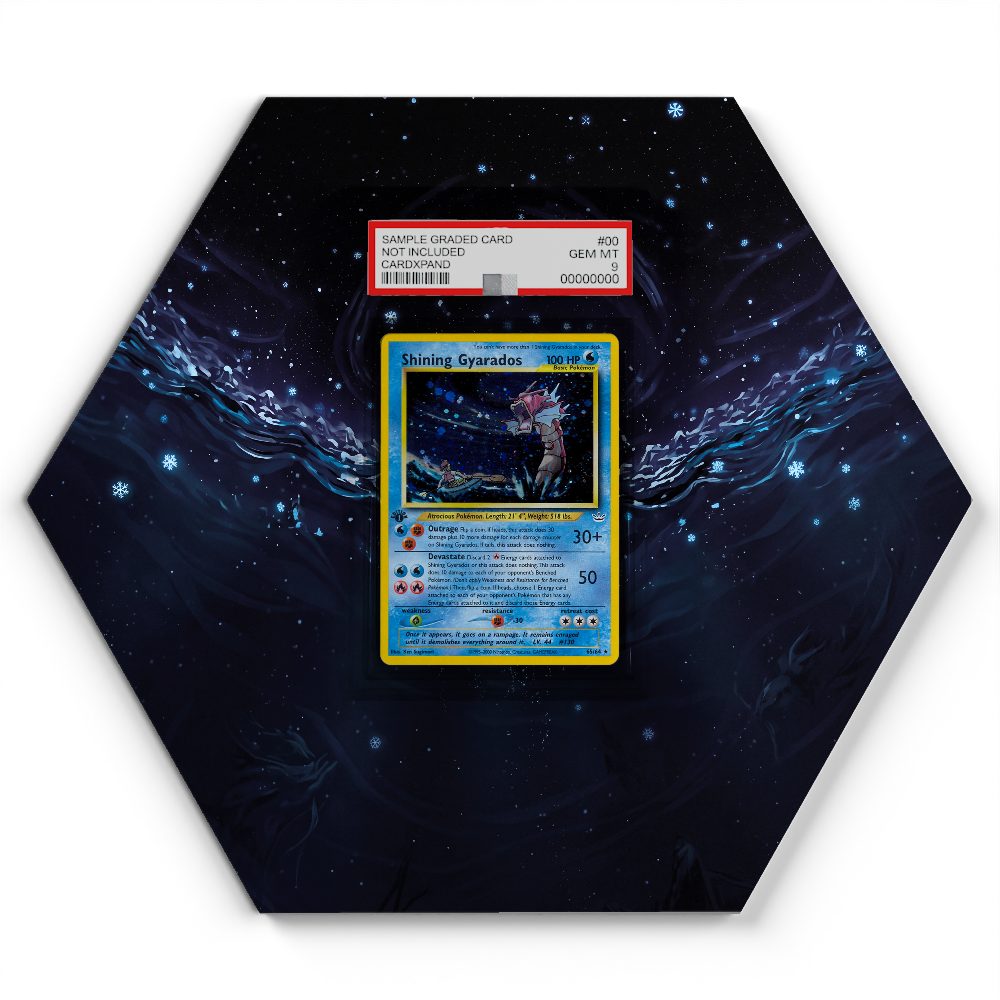 105 Branawarz - Extended Artwork Pokemon Card Display