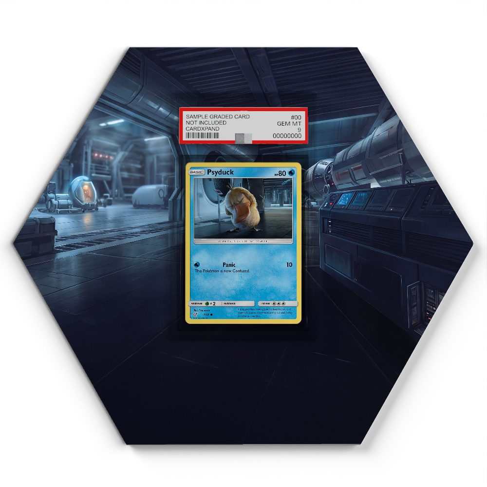 105 Branawarz - Extended Artwork Pokemon Card Display