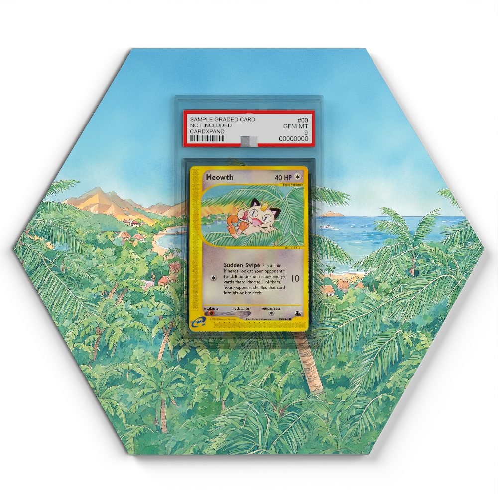 105 Branawarz - Extended Artwork Pokemon Card Display