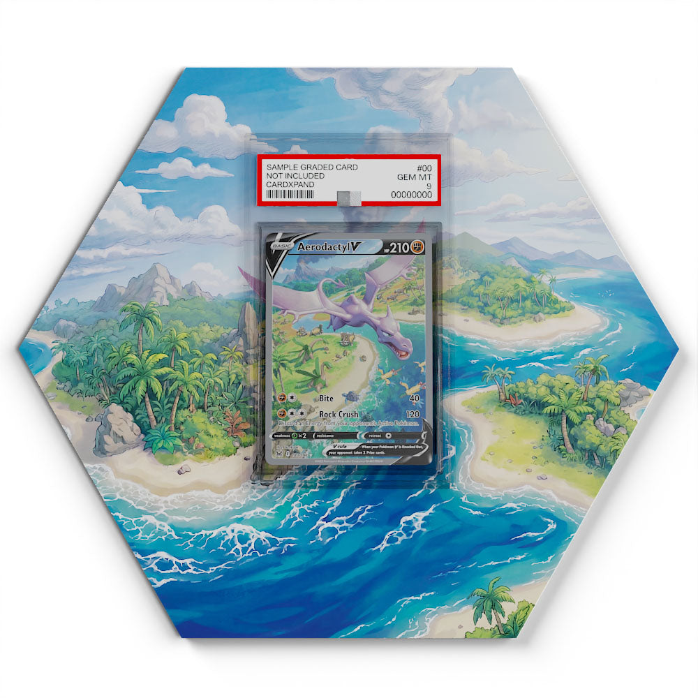 180/196 Aerodactyl V - Extended Artwork Pokemon Card Display