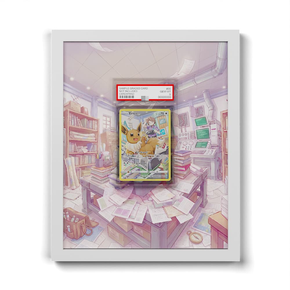 TG11 Evoli - Extended Artwork Framed Pokemon Card Display