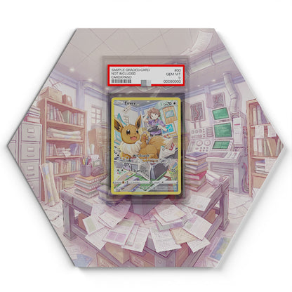 TG11/TG30 Evoli - Extended Artwork Pokemon Card Display
